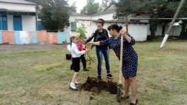 ..родители дружно взялись за лопаты...